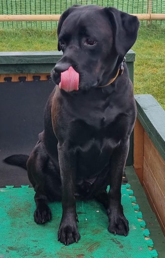 DF Photo Member Photo 161223 4