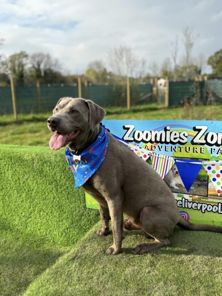 birthday boy 768x1024