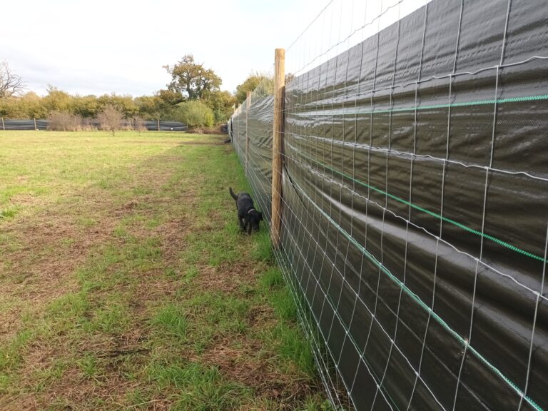 76e695e8 881e 44a2 aa2e aa90e4f9fe29 768x576