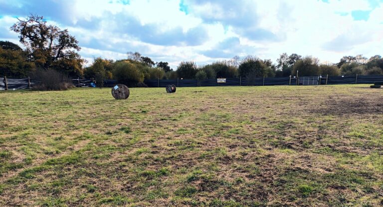 a5b16edf ff06 47b0 8129 c973606a7b37 768x417