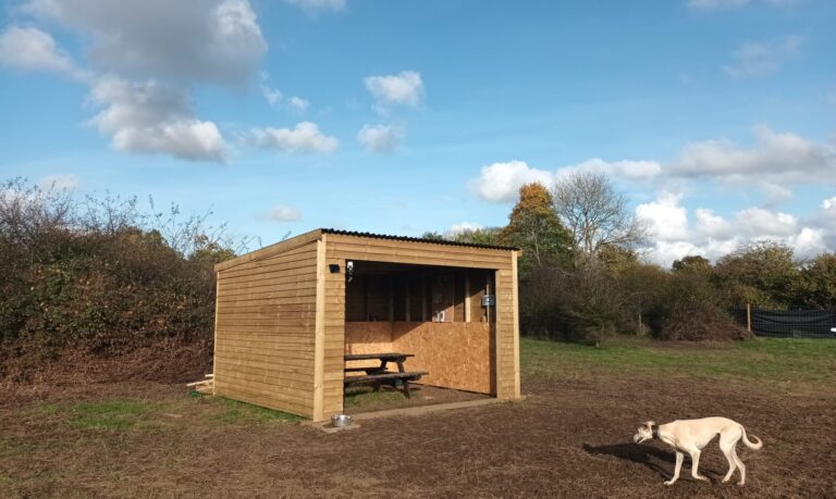 b4ec62b5 1e18 417c bdc5 267329143ad3 768x459