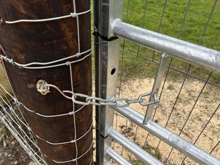 474204965 122172771800095086 7699735117098933901 n 768x576