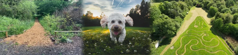 enichment garden dog park 1 768x180