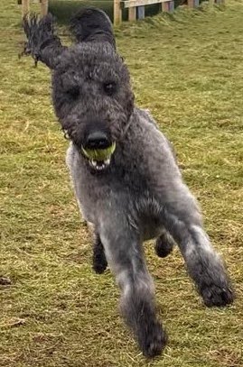 070225 Member Photo 1 thumbnail