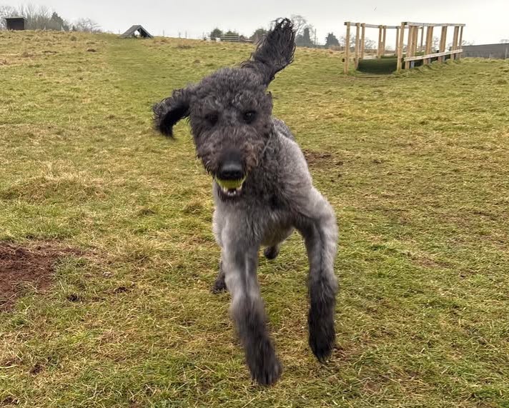 070225 Member Photo 2