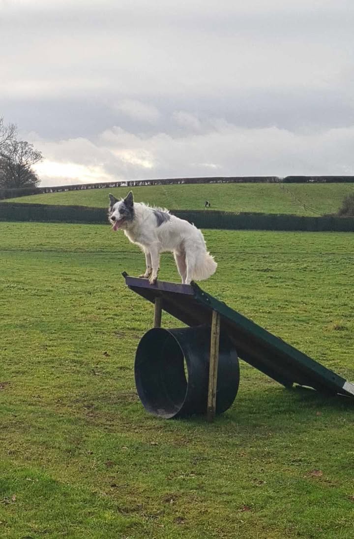 DF Member Photo 161224