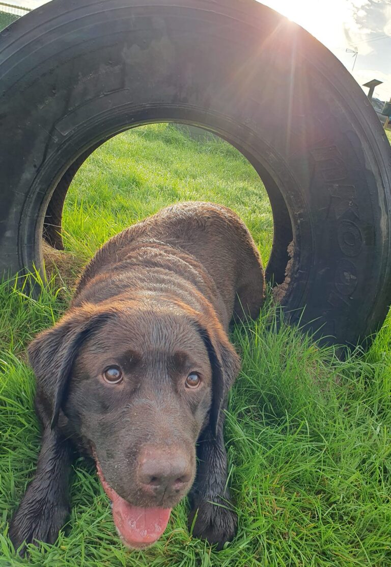 DF Member Photo 250823 2 768x1112