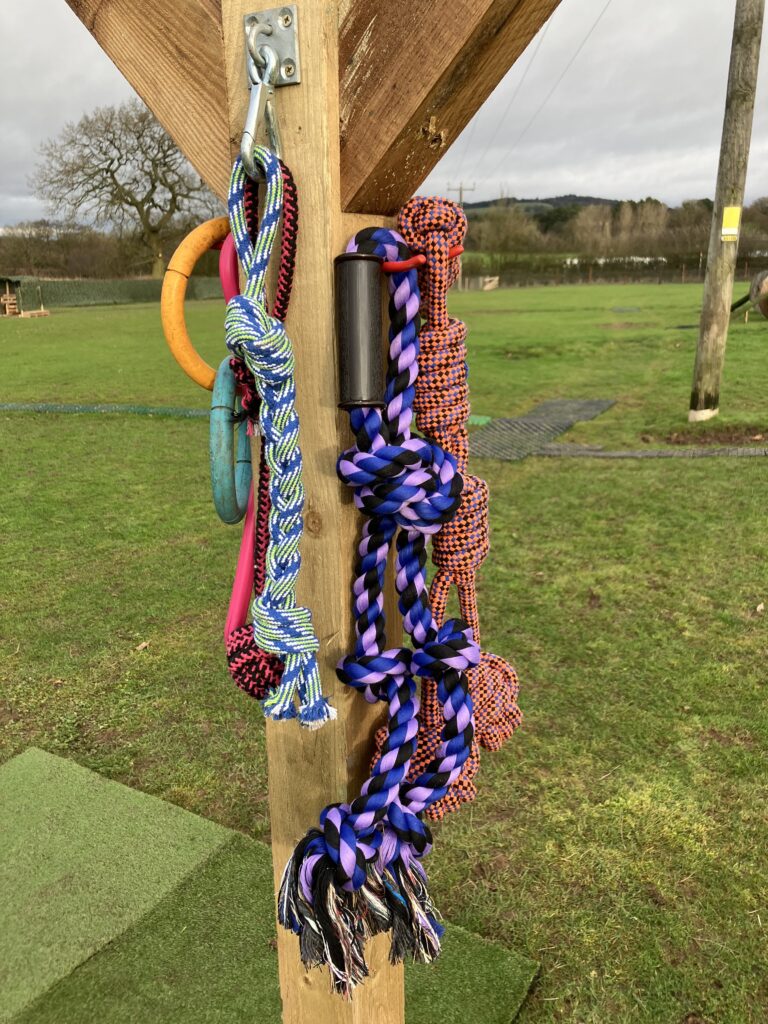 DF Photo Long Run Tetherball 1 768x1024