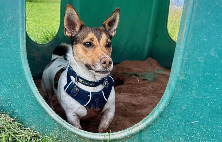 DF Photo Member Photo 250724 768x491