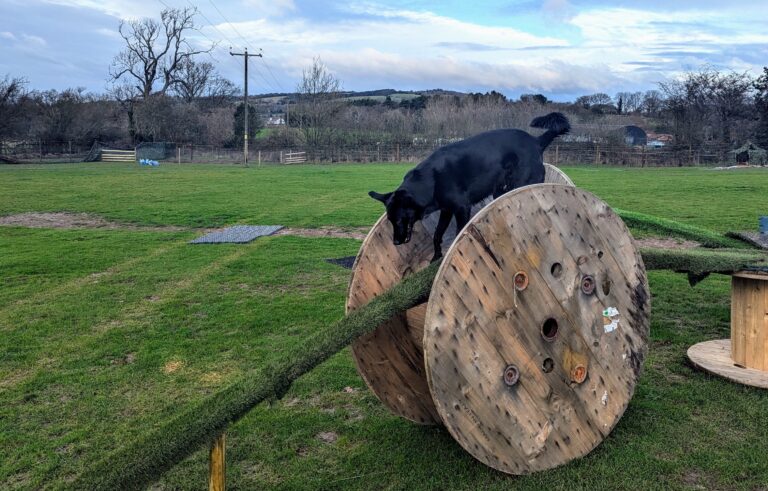 DF Photo Member Photo LR 0812241 768x491