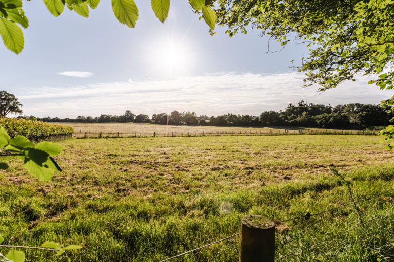 Lizzy June24 18 768x512
