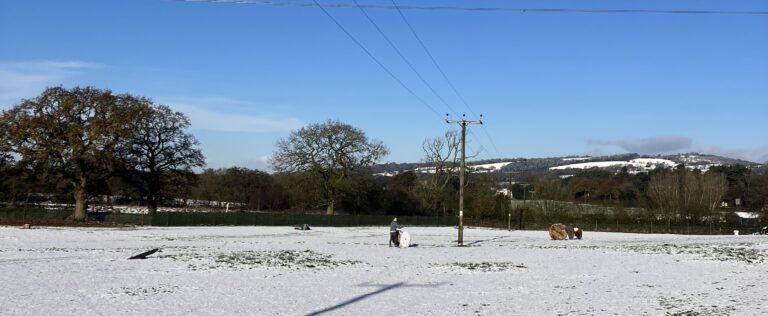 DF Photo Long Run 201124 1 768x316