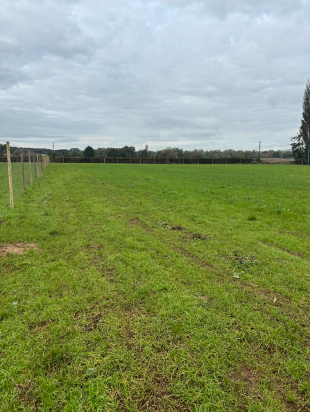 Screenshot 2024 11 26 1.38.29 PM