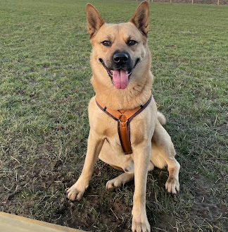 Screenshot 2025 04 24 10.37.40 AM