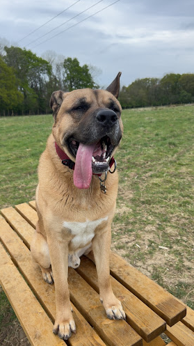 Screenshot 2025 04 24 10.46.01 AM