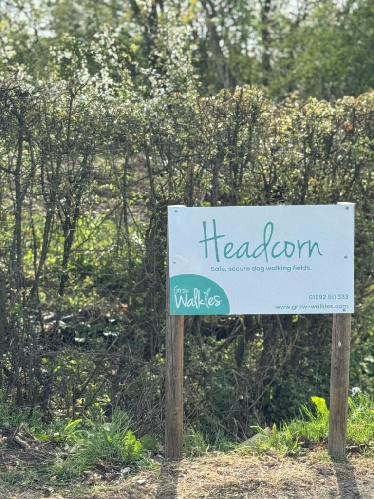 WhatsApp Image 2025 04 09 at 10.44.05 768x1024