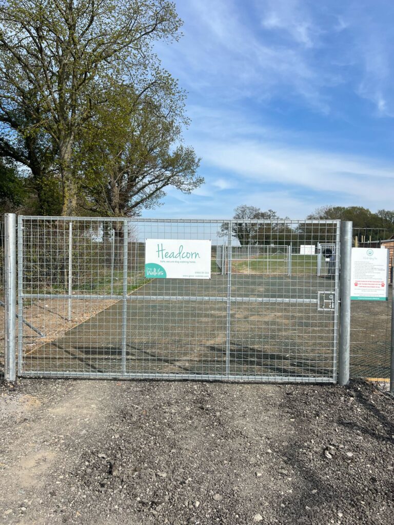 WhatsApp Image 2025 04 09 at 16.44.08 768x1024