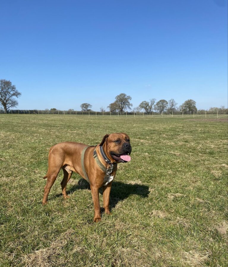 inbound7069780901208979783 768x897