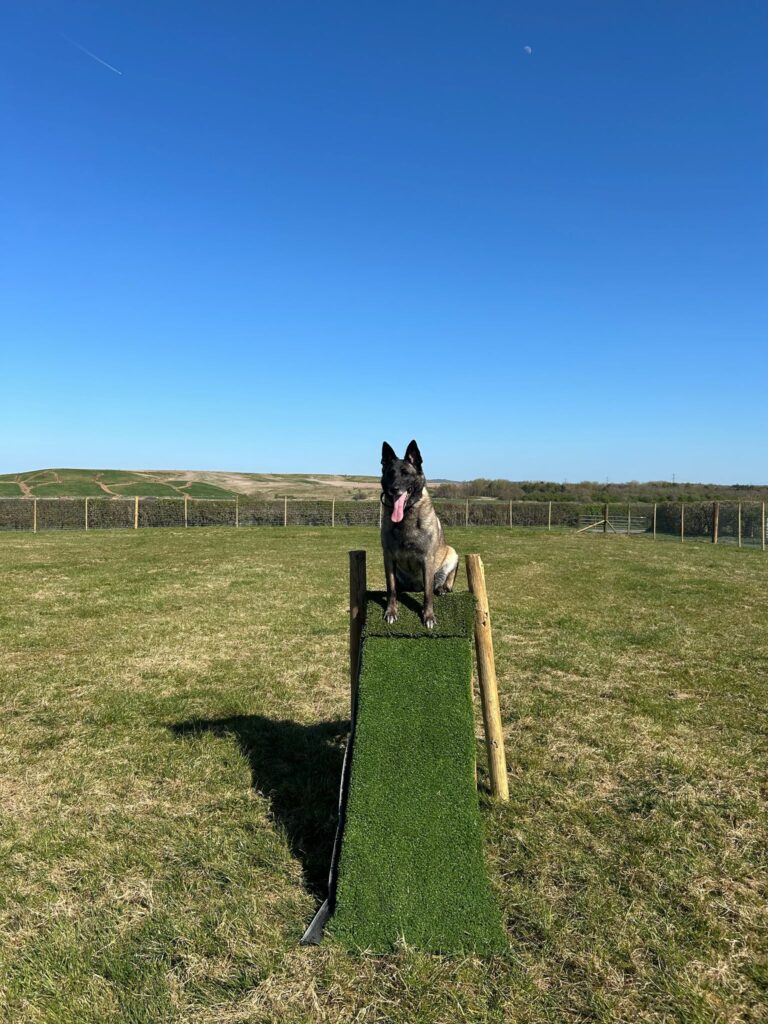 inbound7800602891755939313 768x1024