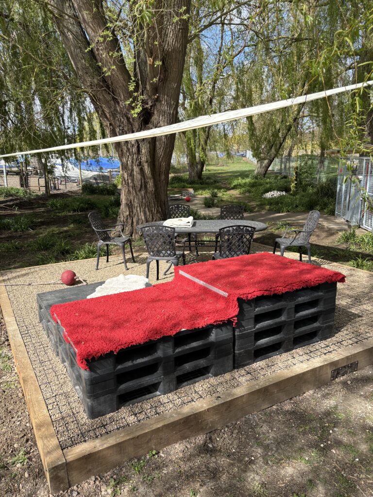 tempImageyb4tvq 768x1024