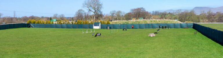 37159494 29e1 46d0 8b08 593684771c8e 768x201