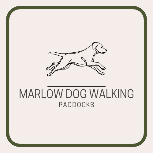 Marlow Dog Walking Paddocks Logo Copy