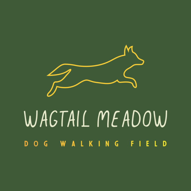 Social Profile logo 1 768x768