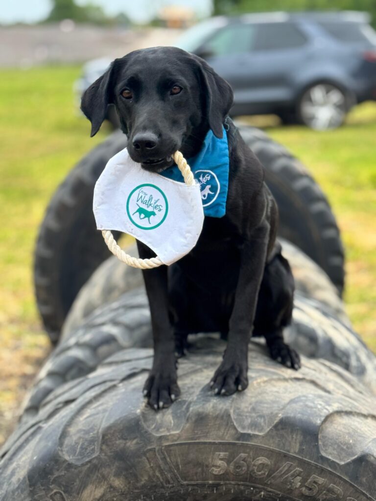 WhatsApp Image 2025 05 15 at 13.56.51 768x1024