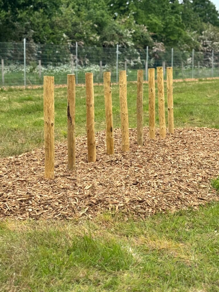 WhatsApp Image 2025 05 15 at 13.57.02 768x1024