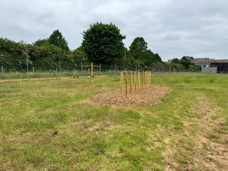 WhatsApp Image 2025 05 15 at 13.57.34 1 768x576