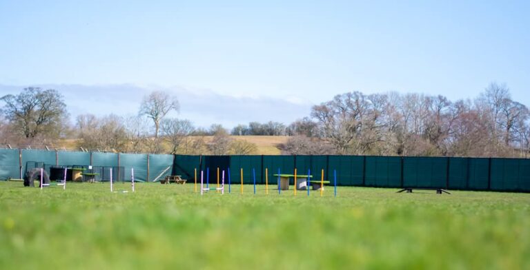 b73376f1 3cd8 45e6 90fa 18e461ae88d0 768x392