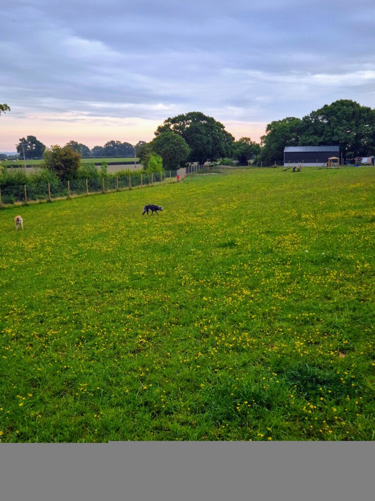 be54a2a2 e2a1 4165 9912 ae65dfc89663 1 all 37953 768x1024