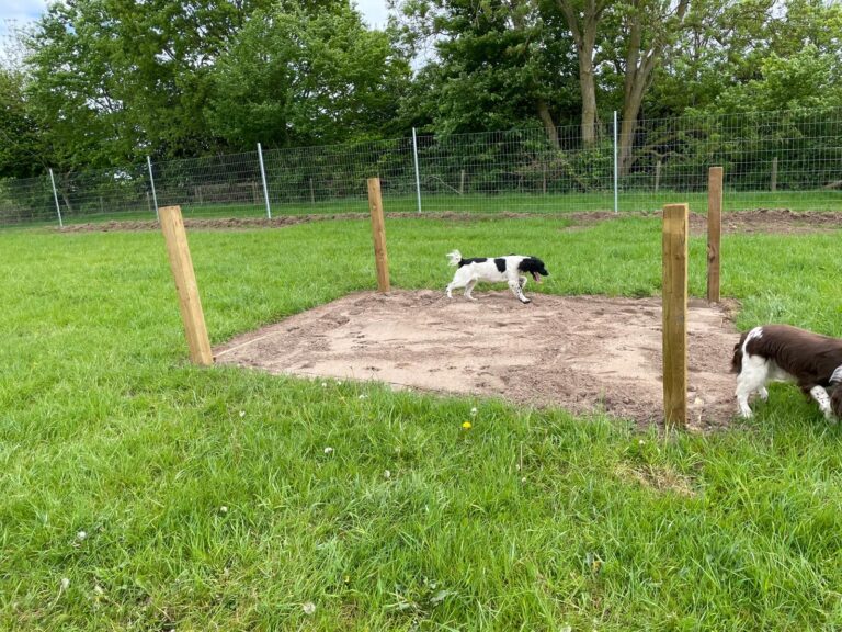 c4089024 924f 47de 88bb b70ed1c78665 768x576