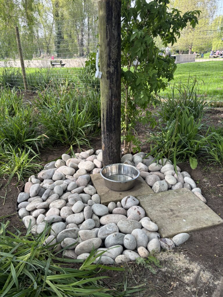 tempImageYGQJGV 768x1024