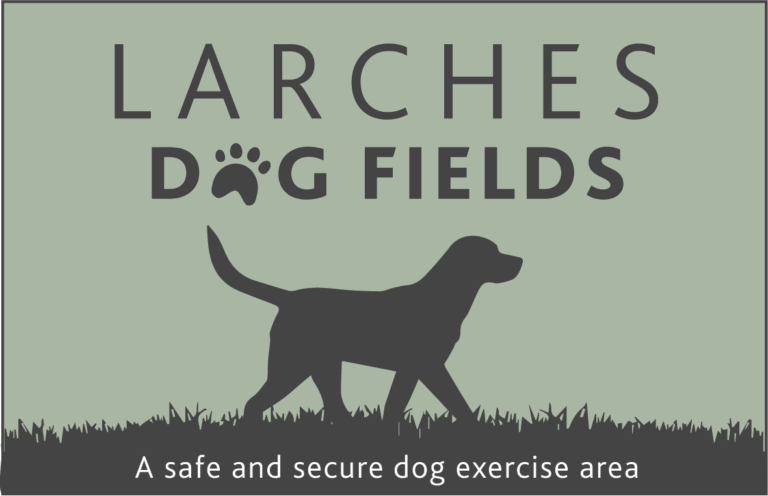 LGF MAIN Logo 768x496