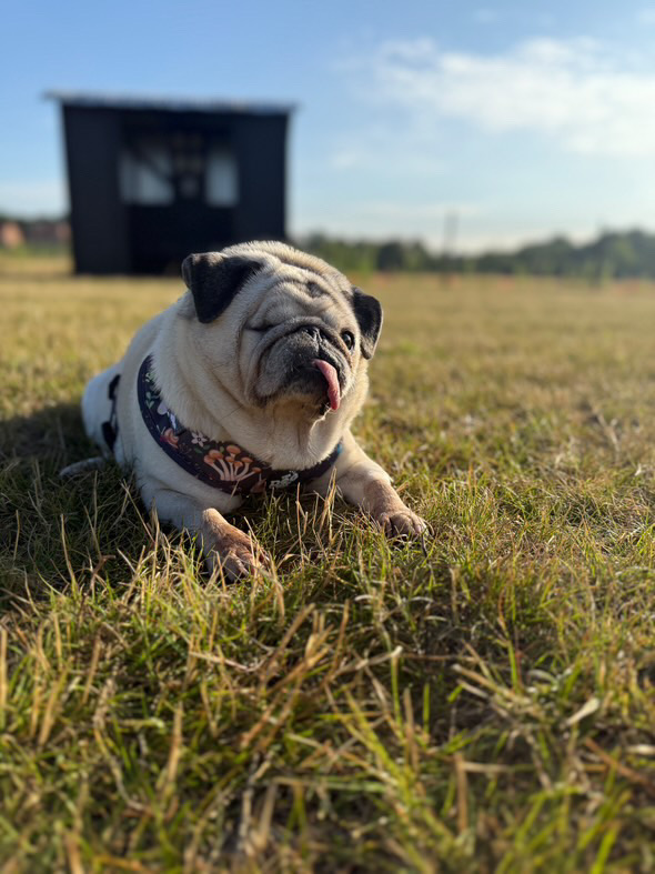 A5EDE7E5 82E4 453C B4EC C17EB8B44128