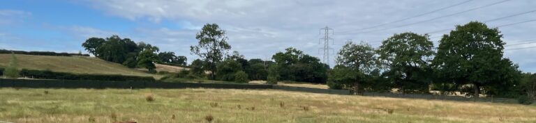 Privacy Screening 768x177