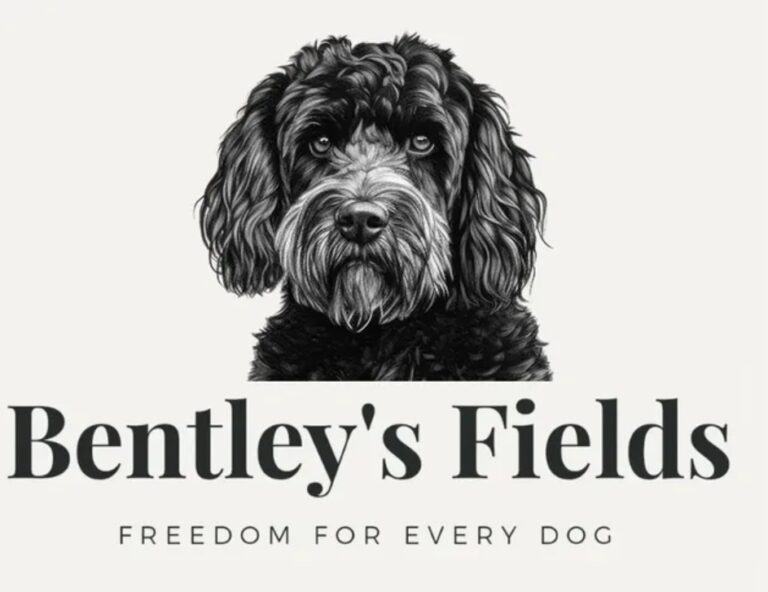 bentleys fields 768x592