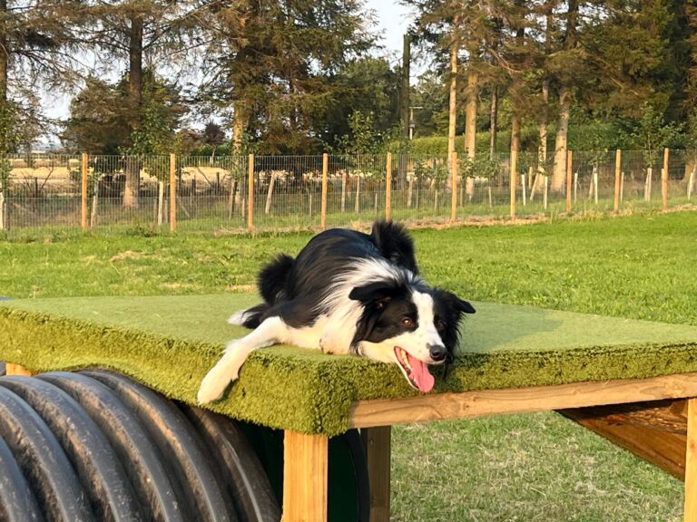 IMG 20250813 WA0018 768x576