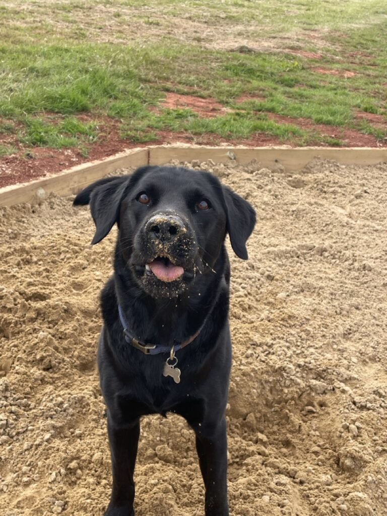 IMG 0092 Large 768x1024