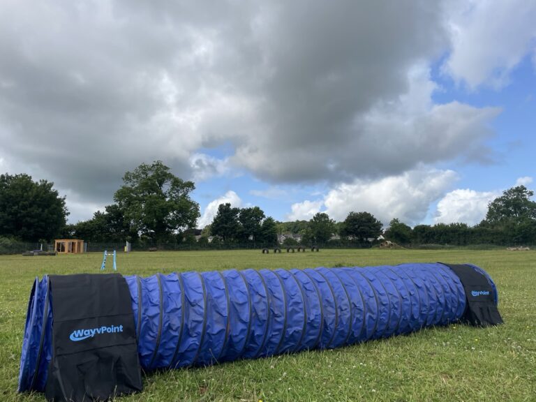 IMG 0268 Large 768x576