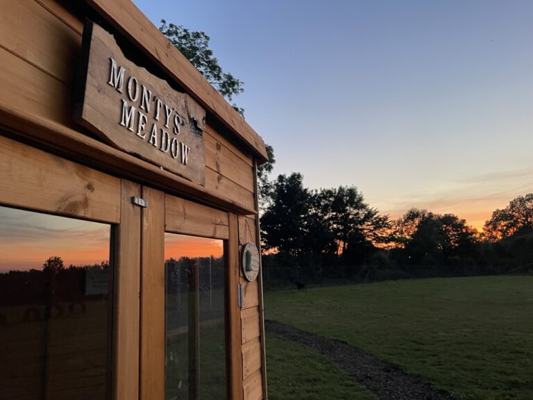 IMG 0360 Large 768x576