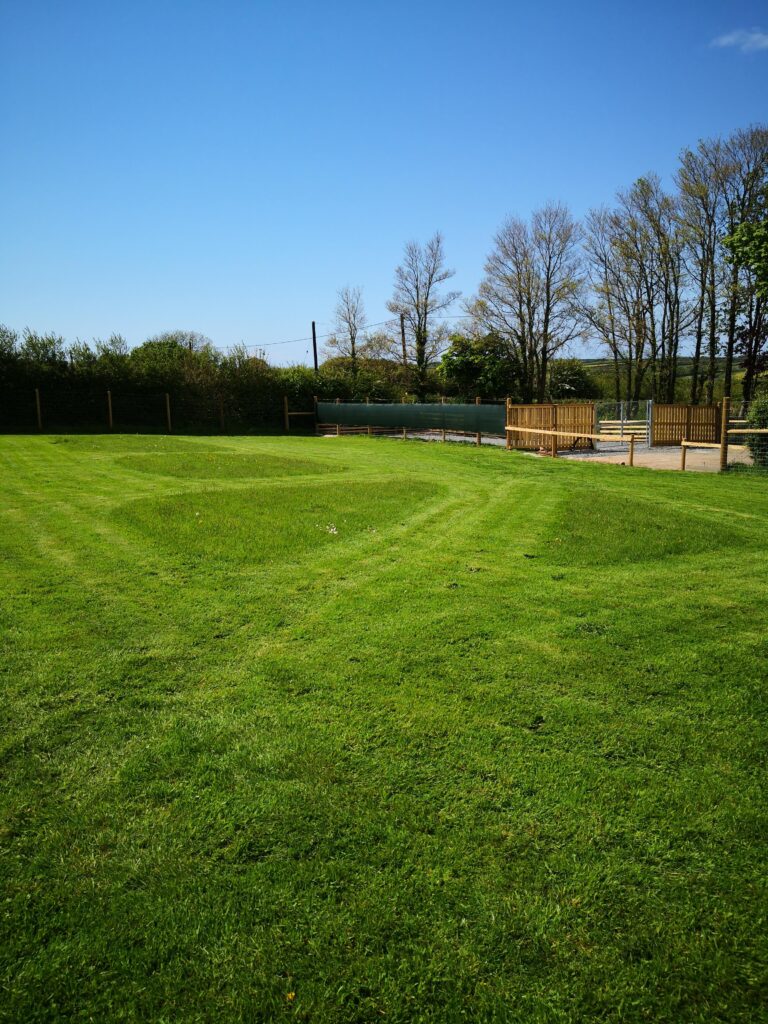 IMG 20250505 143705 1 768x1024