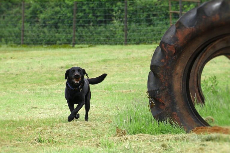 c0bcda3d 2281 43f7 99bb d328e3f26cdb Large 768x512