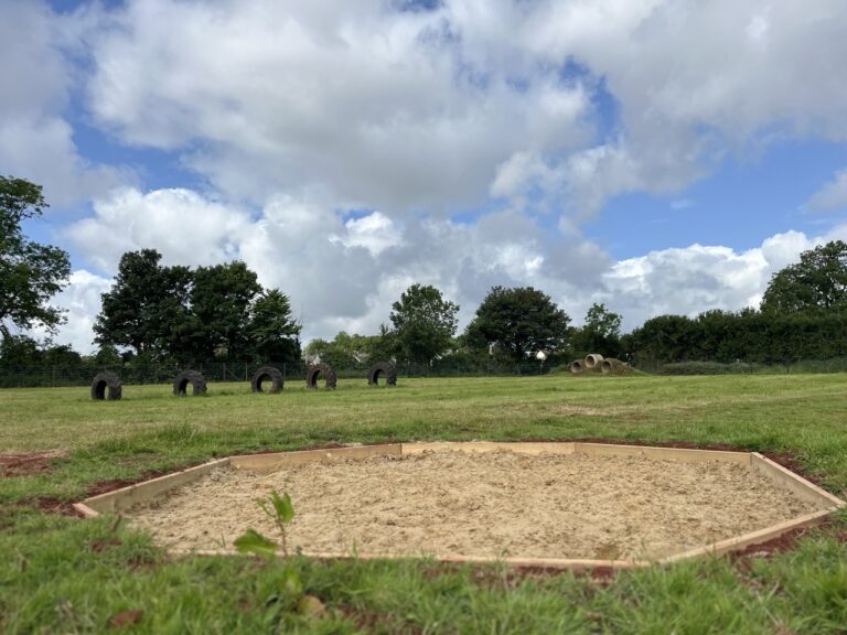 dog park cover Large 768x576