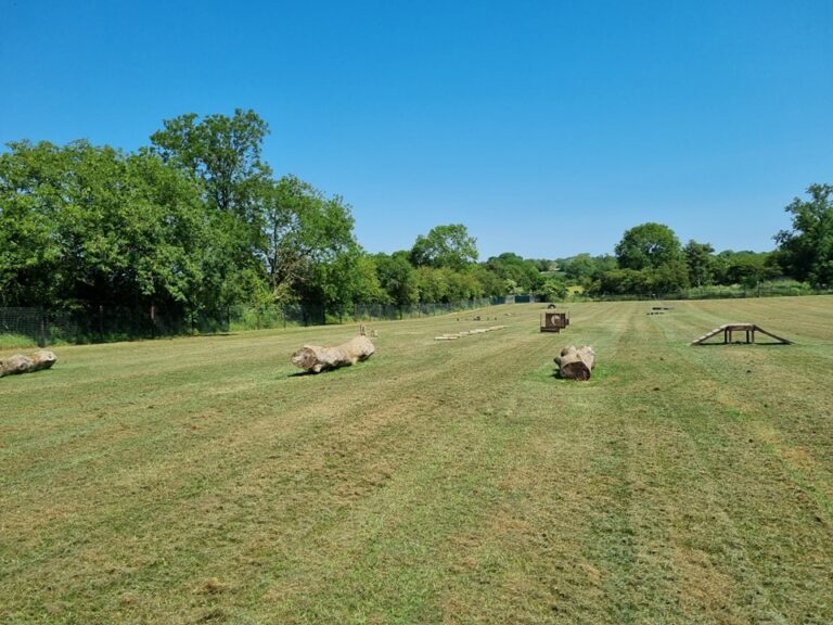 474474452 615516164310241 4415770367137372840 n 768x576