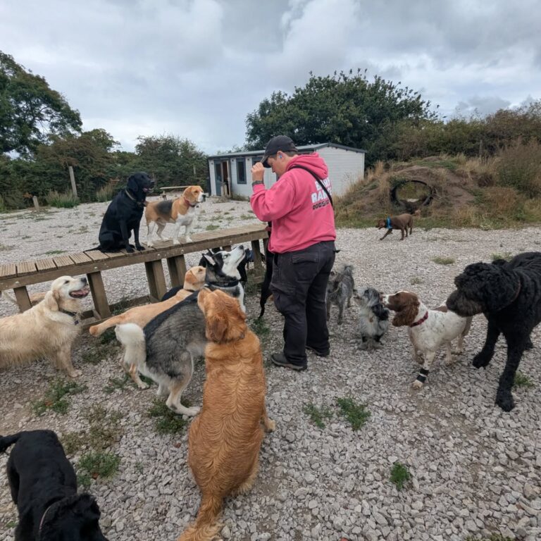 542363132 18343163728167794 621069181061554964 n 768x768