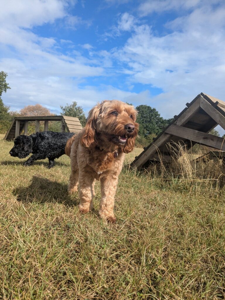 542654906 1134547422132544 3281456228920313541 n 768x1024