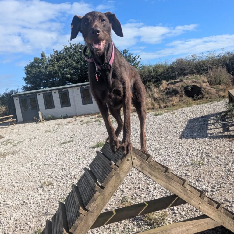 542841491 18342968473167794 6090185484805392220 n 768x768