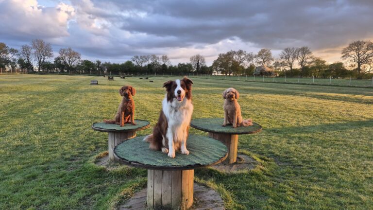 WhatsApp Image 2025 04 25 at 12.35.07 2 768x432